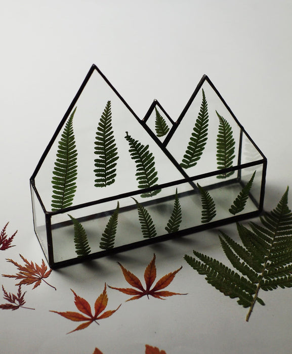 LETTER HOLDER with real ferns - decor available