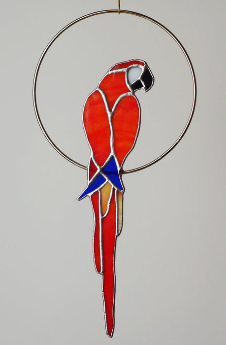 Parrot wall decoration AVAILABLE - new product